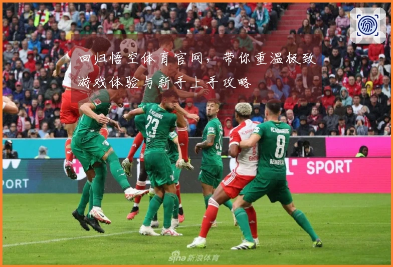 回归悟空体育官网，带你重温极致游戏体验与新手上手攻略